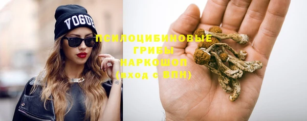 а пвп мука Александровское
